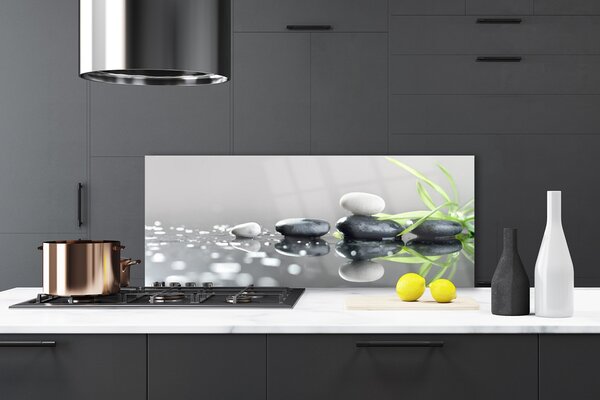 Nástenný panel  Kamene tráva umenie 125x50 cm