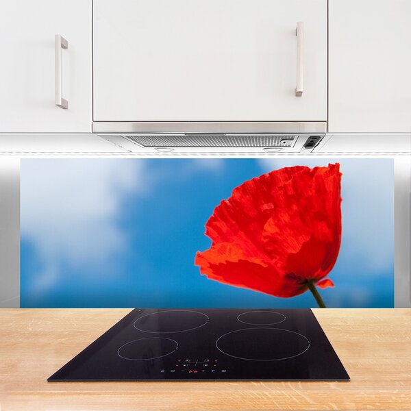 Nástenný panel  Tulipán 125x50 cm