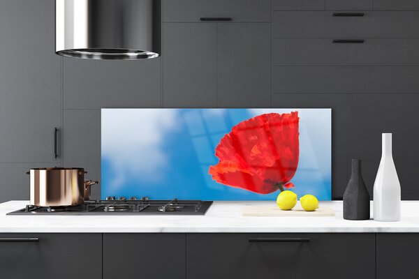 Nástenný panel  Tulipán 125x50 cm