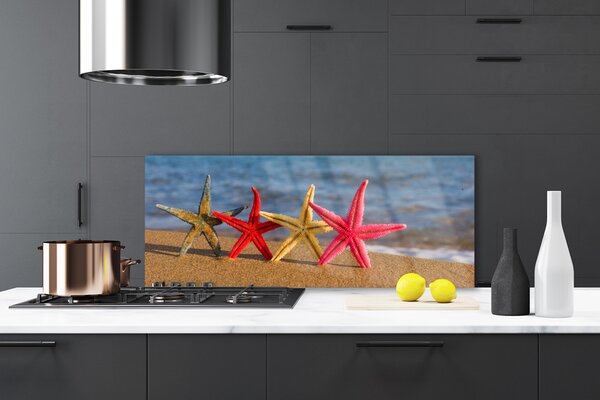 Nástenný panel  Pláž hviezdice umenie 125x50 cm