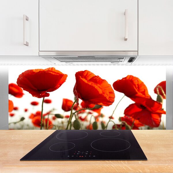 Nástenný panel  Tulipány kvety 125x50 cm