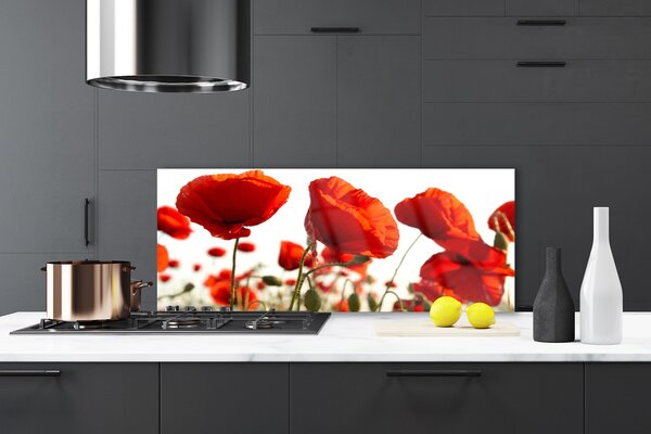 Nástenný panel  Tulipány kvety 125x50 cm