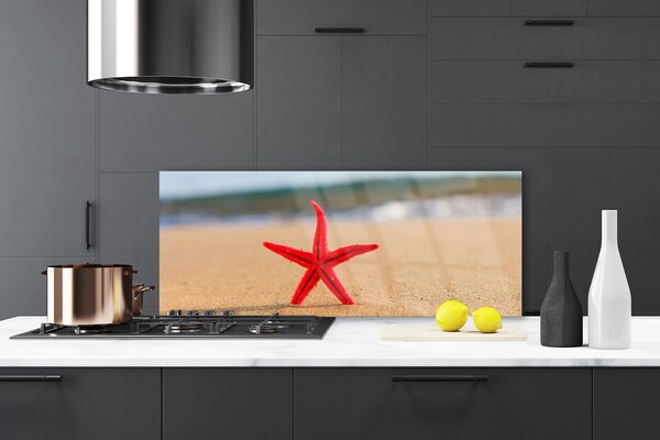 Nástenný panel  Pláž hviezdice umenie 125x50 cm