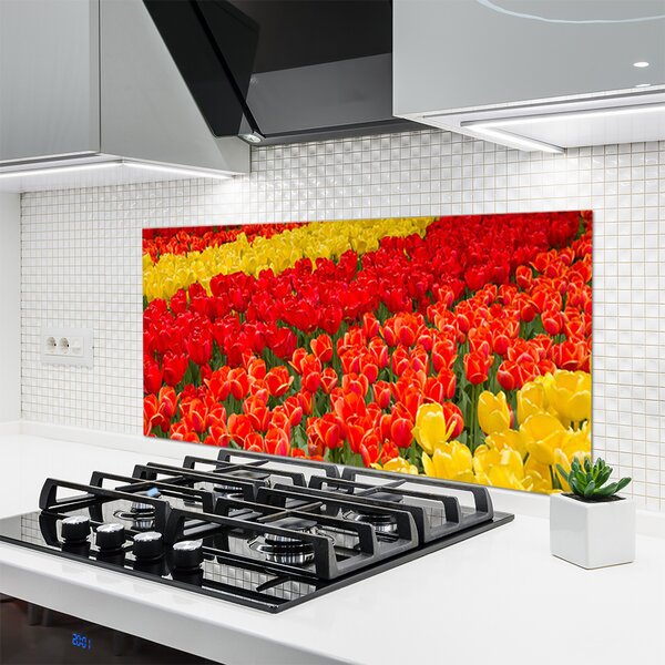 Nástenný panel  Tulipány kvety 120x60 cm