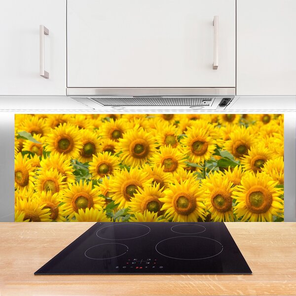 Nástenný panel  Slunecznice rastlina 125x50 cm