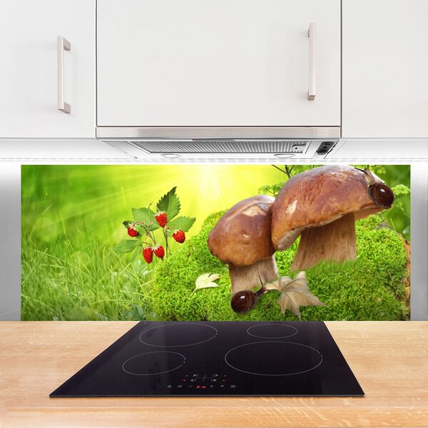 Nástenný panel  Huby divoké jahody 125x50 cm