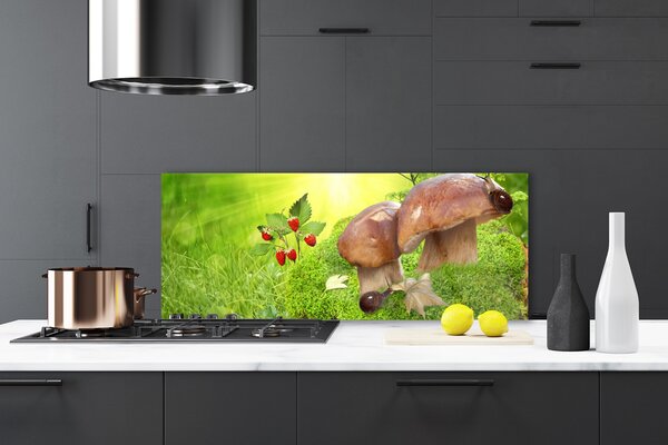 Nástenný panel  Huby divoké jahody 125x50 cm