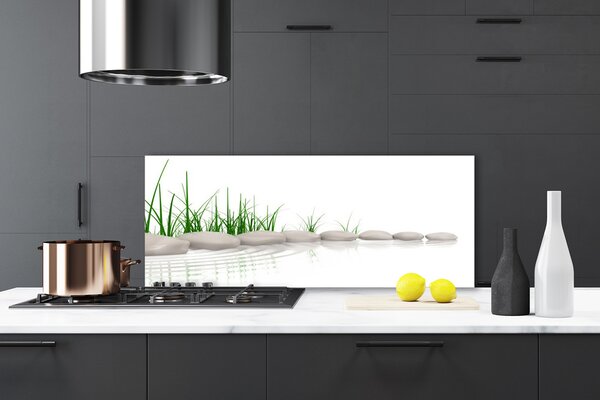Nástenný panel  Kamene tráva umenie 125x50 cm