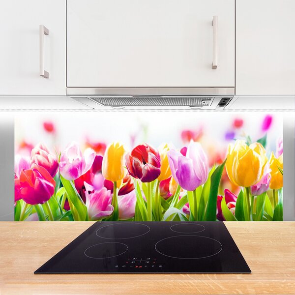 Nástenný panel  Tulipány kvety 125x50 cm