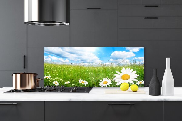 Nástenný panel  Sedmokráska tráva príroda 125x50 cm