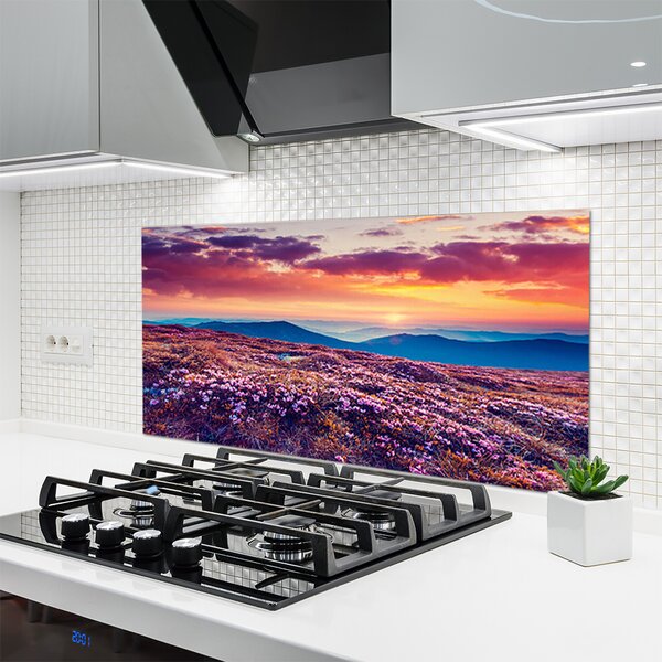 Nástenný panel  Lúka hory kvety príroda 120x60 cm