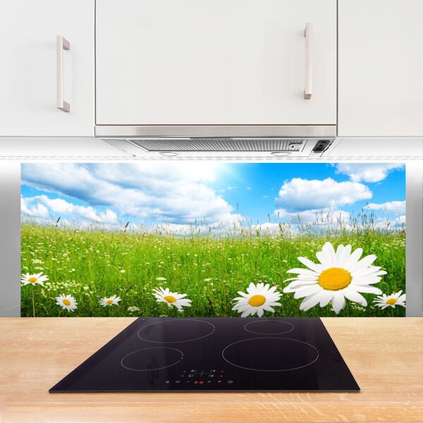 Nástenný panel  Sedmokráska tráva príroda 125x50 cm