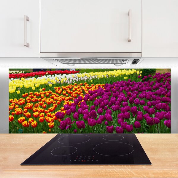 Nástenný panel  Tulipány kvety 125x50 cm