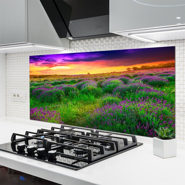 Nástenný panel  Lúka príroda 140x70 cm