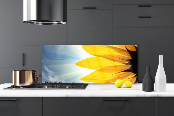 Nástenný panel  Plátky rastlina 125x50 cm