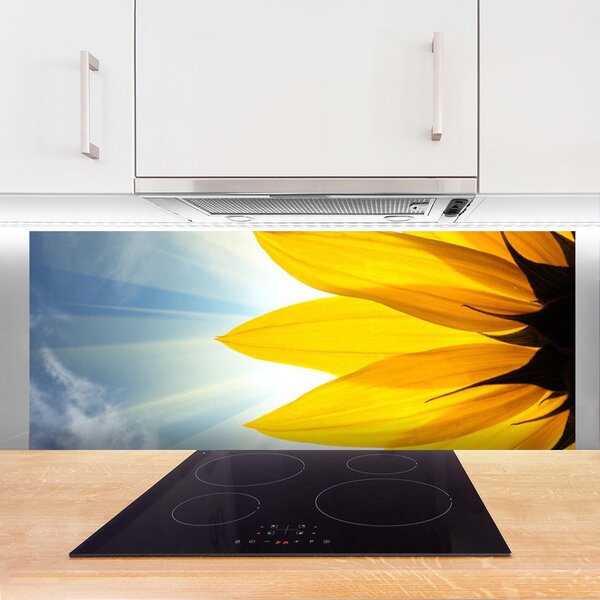 Nástenný panel  Plátky rastlina 125x50 cm