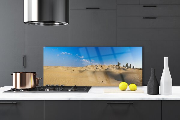 Nástenný panel  Púšť krajina 125x50 cm