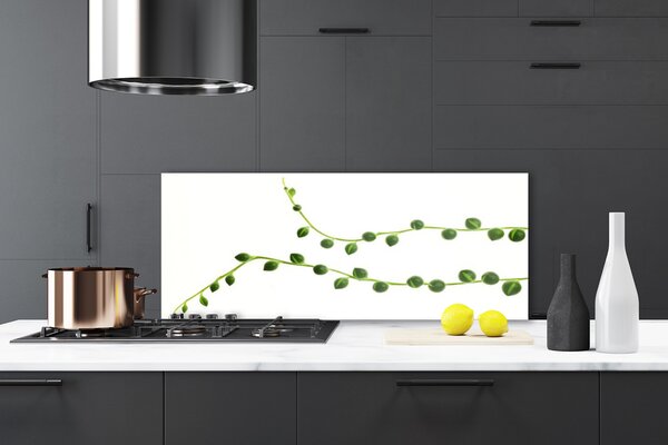 Nástenný panel  Dekoratívne rastlina 125x50 cm
