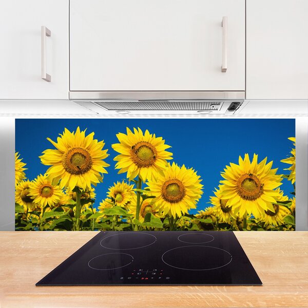 Nástenný panel  Slnečnicami rastlina 125x50 cm