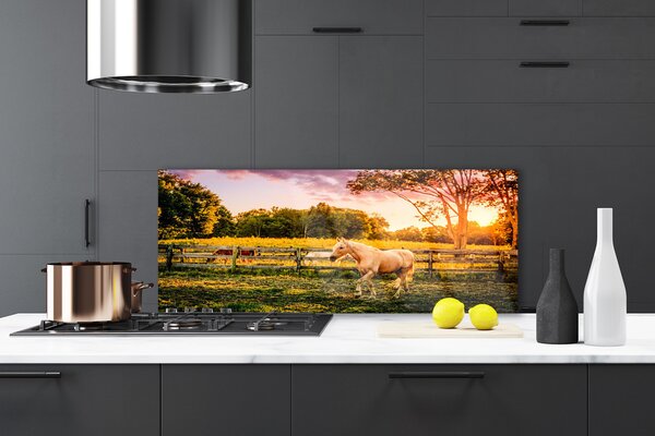 Nástenný panel  Kôň lúka zvieratá 125x50 cm