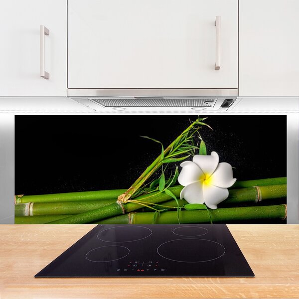 Nástenný panel  Bambus kvet rastlina 125x50 cm