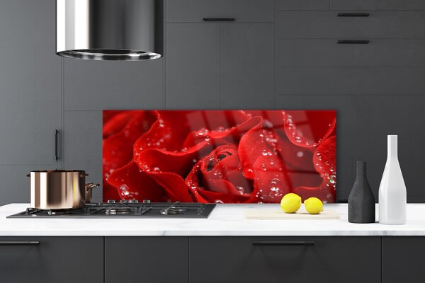 Nástenný panel  Ruže kvet rastlina 125x50 cm