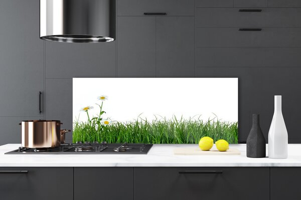 Nástenný panel  Burina príroda rastlina 125x50 cm
