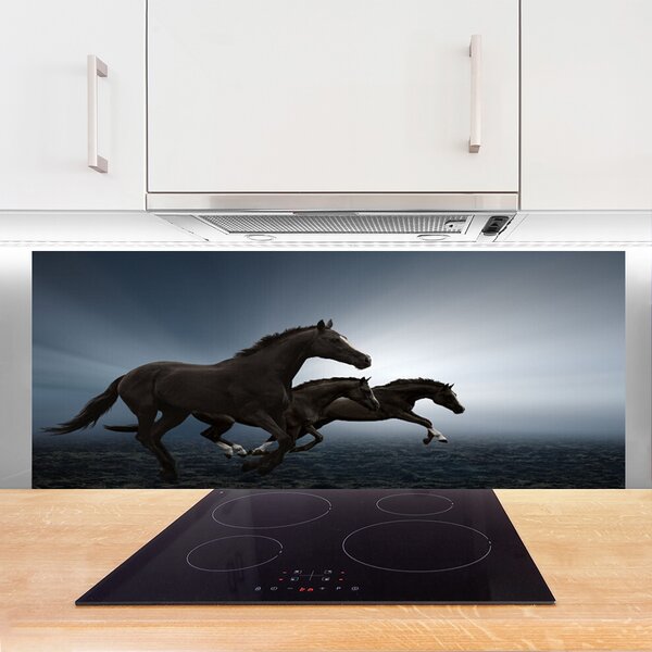Nástenný panel  Kone zvieratá 125x50 cm