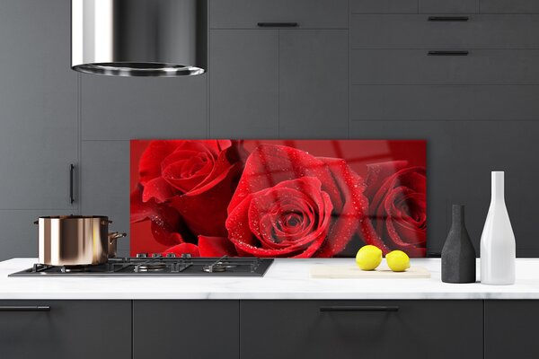 Nástenný panel  Ruže kvety 125x50 cm