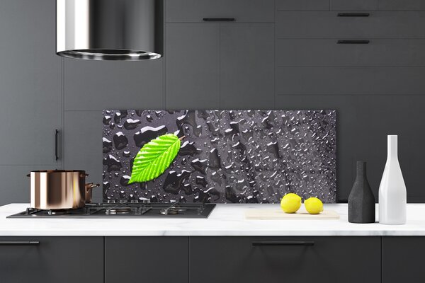 Nástenný panel  List kvapky umenie 125x50 cm