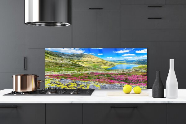 Nástenný panel  Hora záliv lúka príroda 125x50 cm