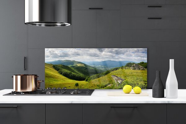 Nástenný panel  Hora lúka krajina 125x50 cm