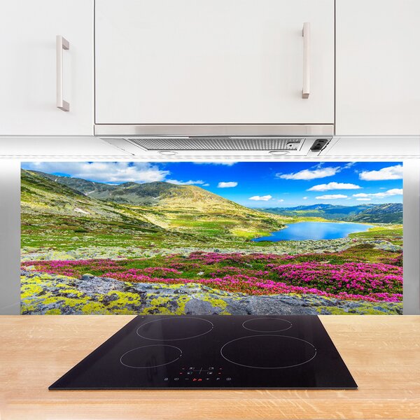 Nástenný panel  Hora záliv lúka príroda 125x50 cm
