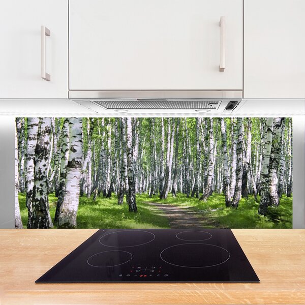 Nástenný panel  Les chodník príroda 125x50 cm