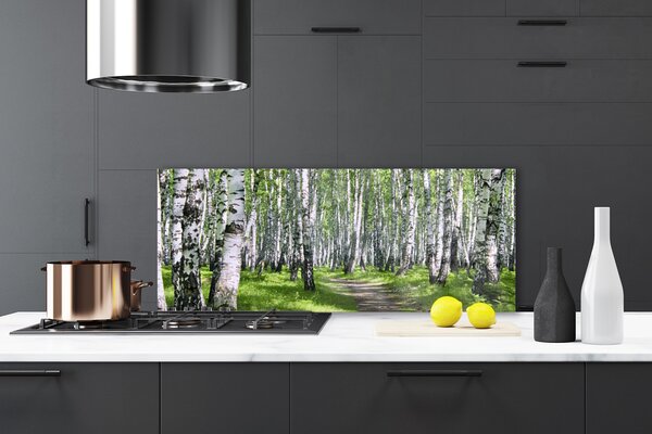 Nástenný panel  Les chodník príroda 125x50 cm