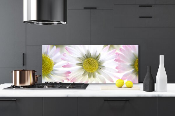 Nástenný panel  Sedmokráska rastlina príroda 125x50 cm