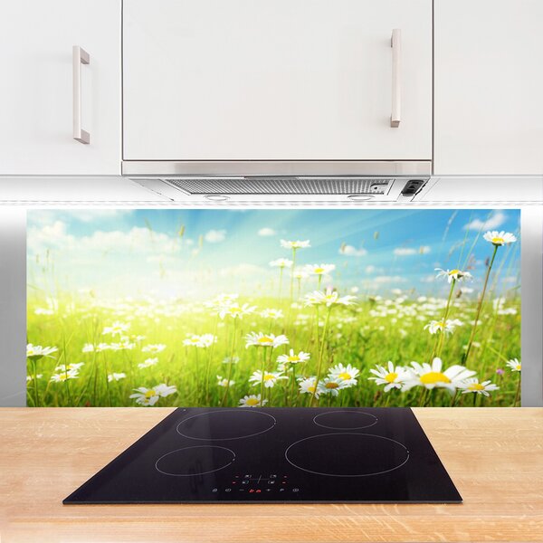 Nástenný panel  Lúka sedmokrásky príroda 125x50 cm