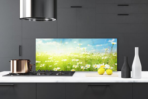 Nástenný panel  Lúka sedmokrásky príroda 125x50 cm