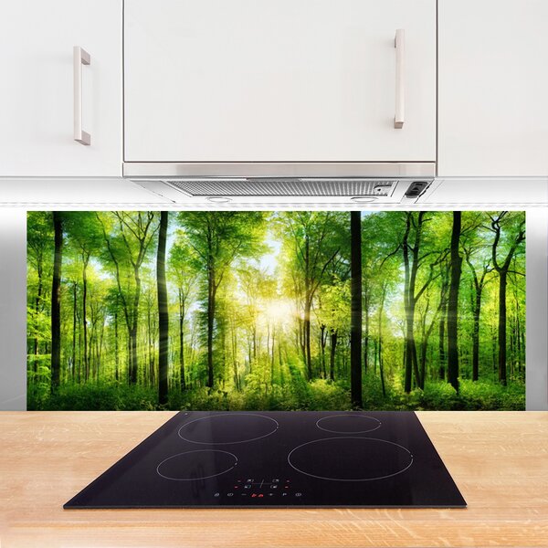 Nástenný panel  Les príroda 125x50 cm