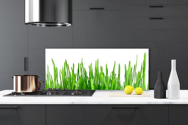 Nástenný panel  Tráva rastlina príroda 125x50 cm