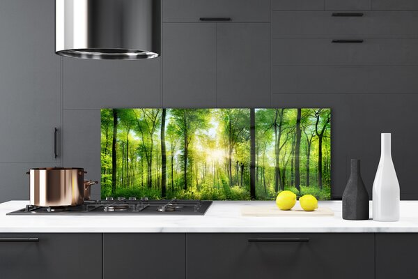 Nástenný panel  Les príroda 125x50 cm