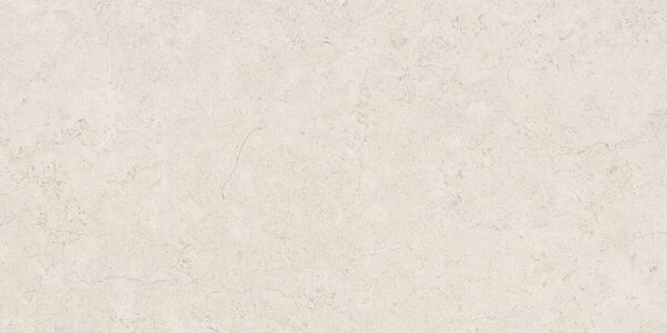 Belstone Grey 60x120 R