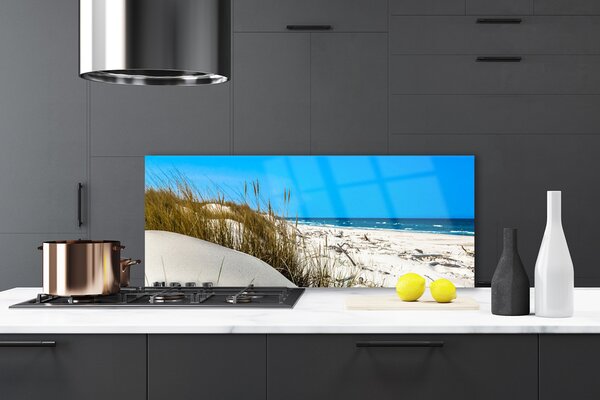 Nástenný panel  Pláž príroda 125x50 cm
