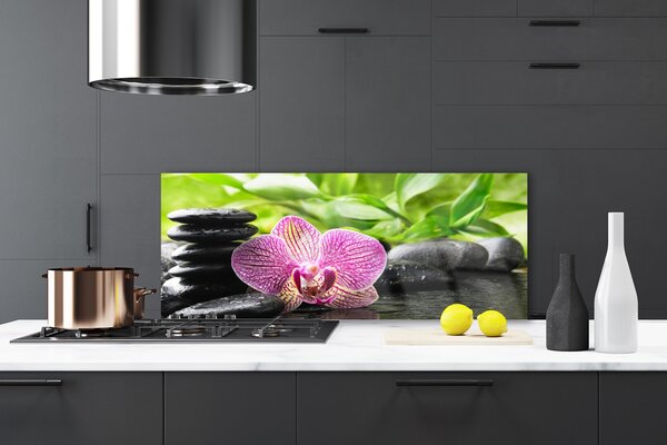 Nástenný panel  Kvet kamene rastlina 125x50 cm