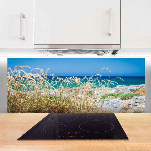 Nástenný panel  Pláž príroda 125x50 cm