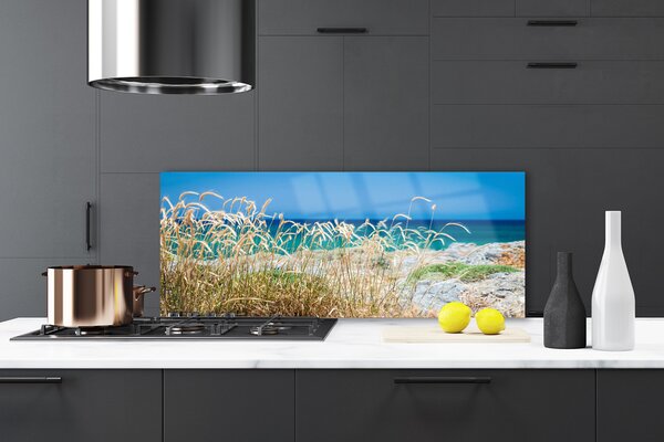 Nástenný panel  Pláž príroda 125x50 cm