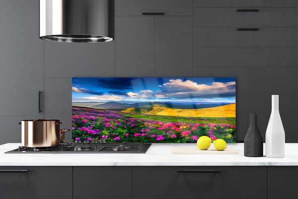 Nástenný panel  Lúka kvety príroda 125x50 cm