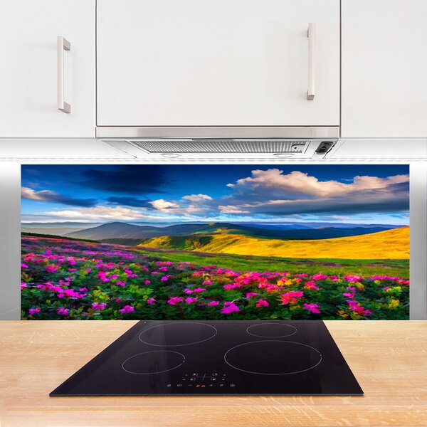Nástenný panel  Lúka kvety príroda 125x50 cm