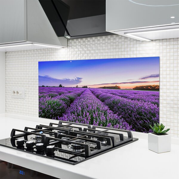 Nástenný panel  Lúka kvety príroda rastlina 120x60 cm