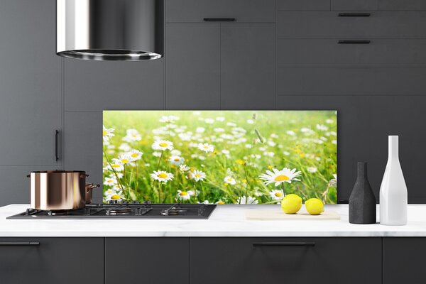 Nástenný panel  Lúka sedmokrásky príroda 125x50 cm